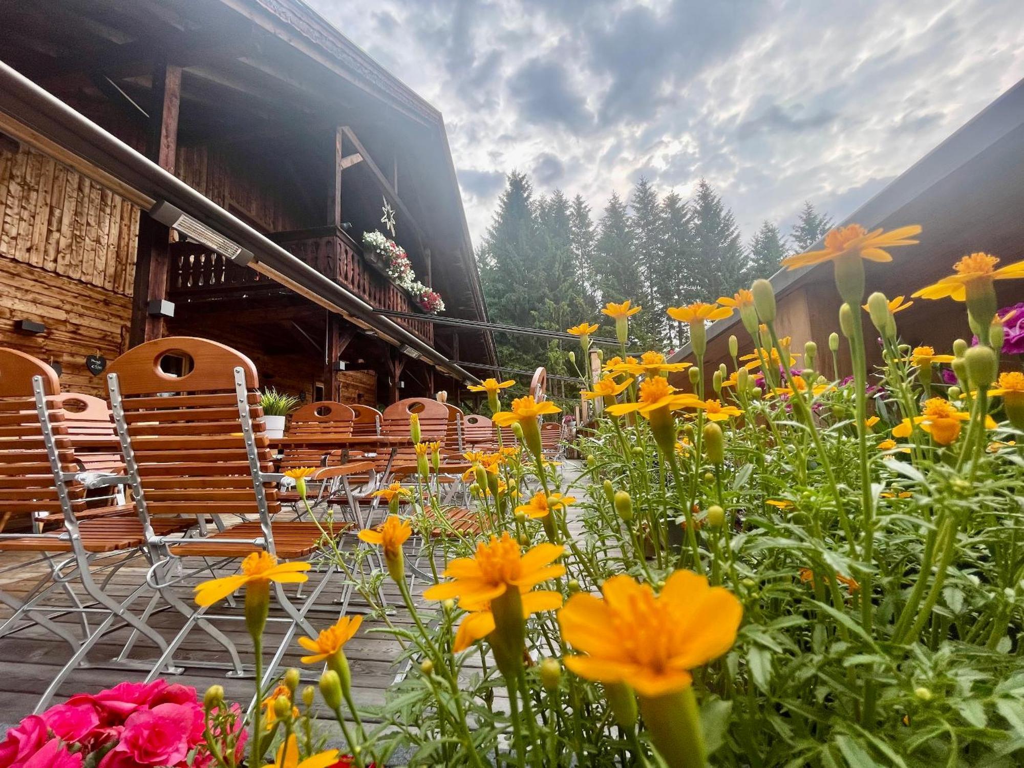 Sweet Cherry - Boutique & Guesthouse Tyrol Инсбрук Экстерьер фото